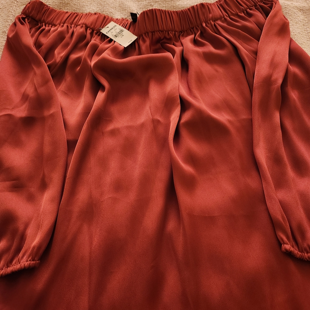 Express Rust Off-Shoulder Blouse